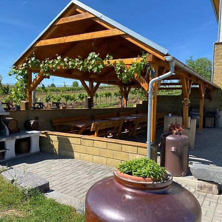 Hotel Vinarstvi & Penzion Knapek Strachotin Esterno foto